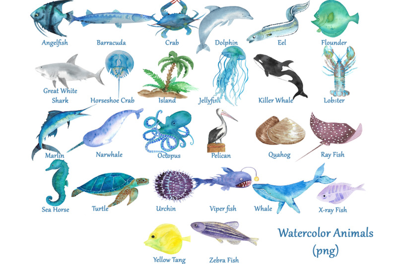watercolor-sea-alphabet