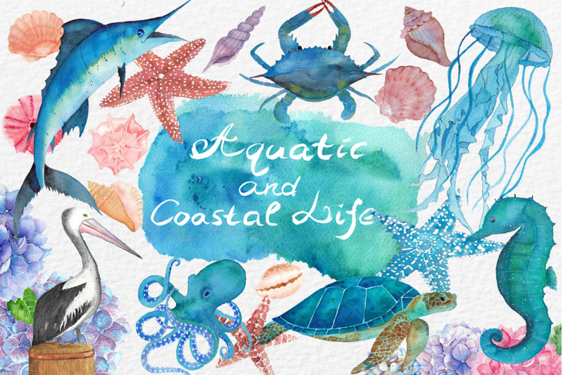 watercolor-aquatic-and-coastal-set