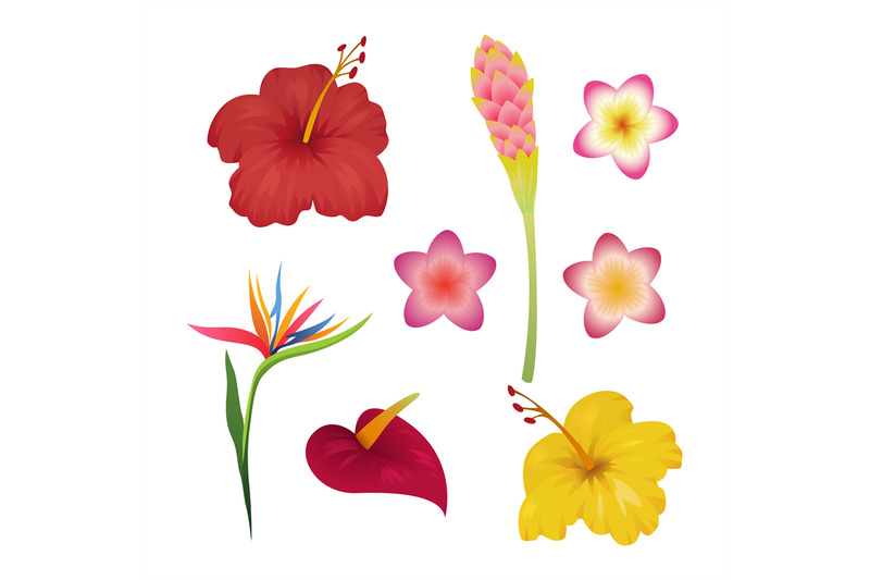 tropical-flower-set-tropic-flowers-fashion-print-hawaii-caribbean-po