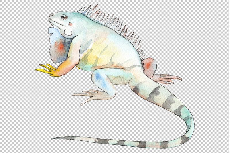 iguana-1-watercolor-png