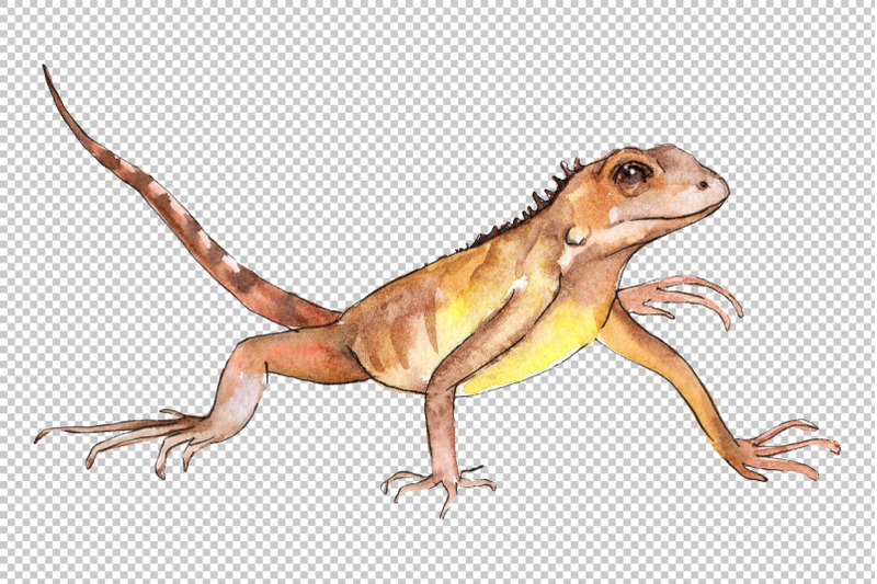 iguana-1-watercolor-png