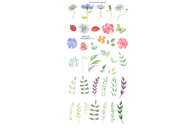 Wildflowers And Herbs Watercolor By Phoenixolga Thehungryjpeg Com