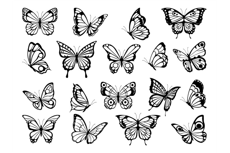 silhouettes-of-butterflies-black-pictures-of-funny-butterflies