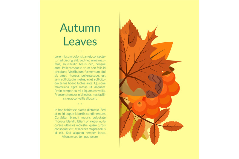 vector-cartoon-autumn-elements-and-leaves-background