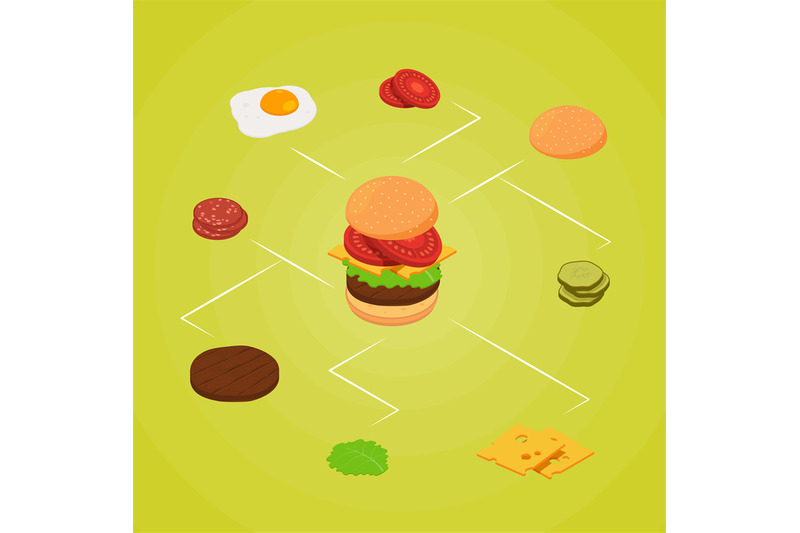 vector-isometric-burger-ingredients-infographic-illustration-color