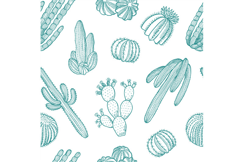 vector-hand-drawn-wild-cacti-plants-pattern-illustration
