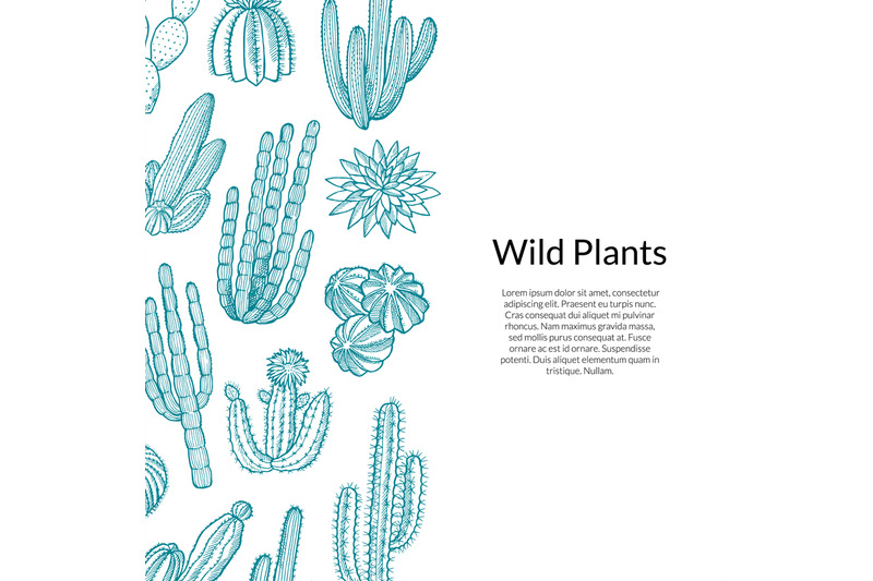 cactus-pattern-vector-hand-drawn-wild-cacti-plants