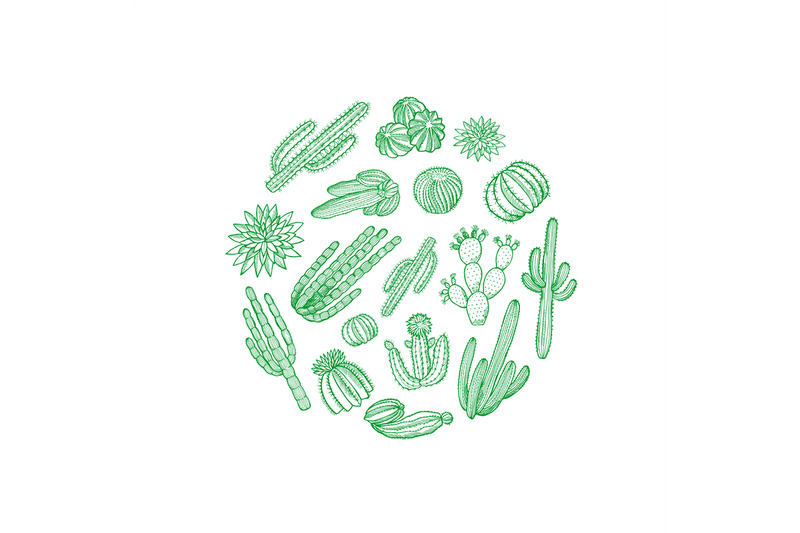 vector-hand-drawn-desert-cacti-plants-in-circle-shape-illustration