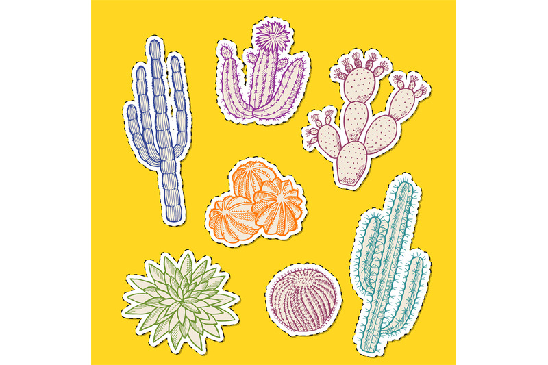 vector-hand-drawn-desert-cacti-stickers-set-illustration