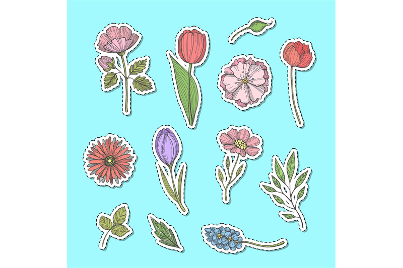 vector-hand-drawn-flowers-stickers-set-illustration