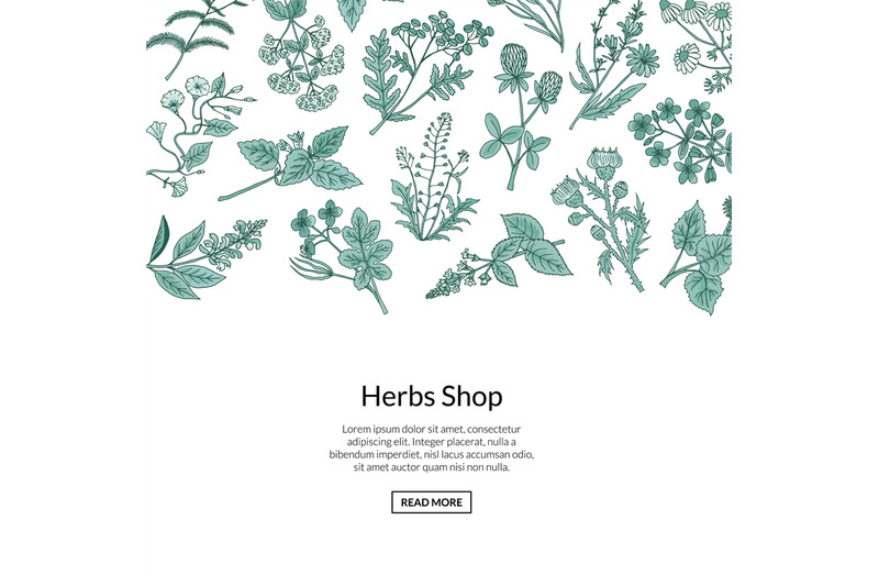 vector-hand-drawn-medical-herbs-background-with-place-for-text-illustr