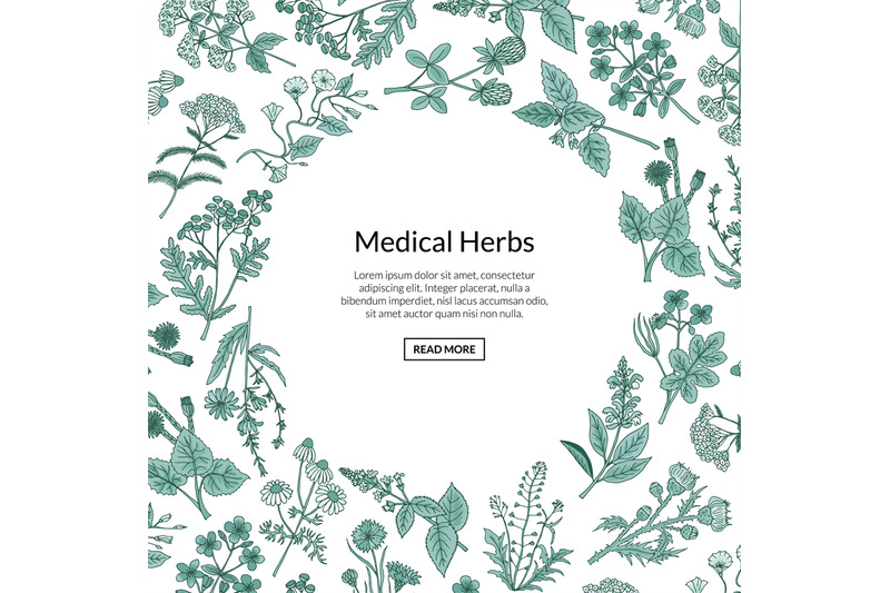 vector-hand-drawn-medical-herbs-background-with-place-for-text-illustr