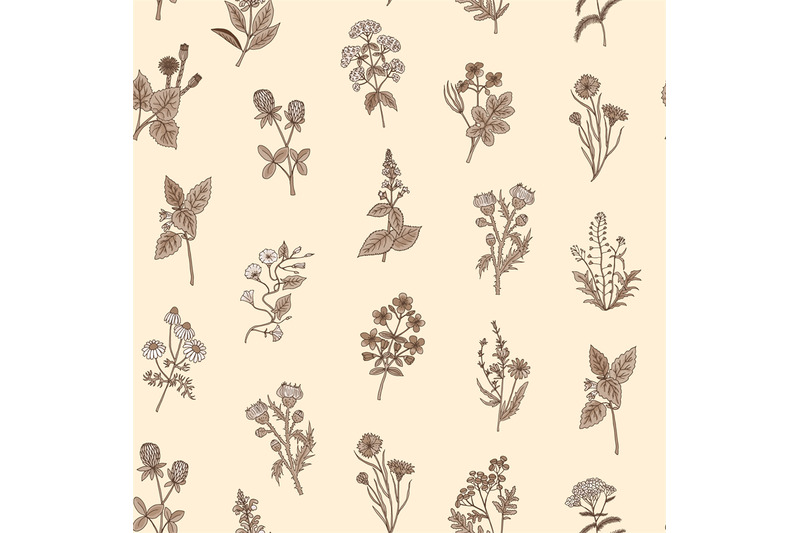 vector-hand-drawn-medical-herbs-pattern-or-background-illustration