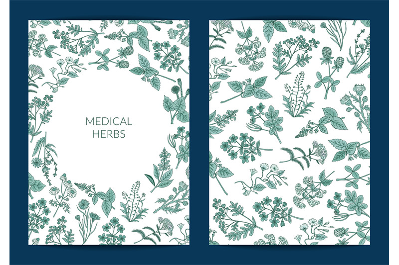 vector-hand-drawn-medical-herbs-card-or-flyer-template-illustration