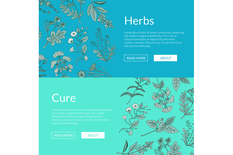 vector-hand-drawn-medical-herbs-web-banner-templates-illustration
