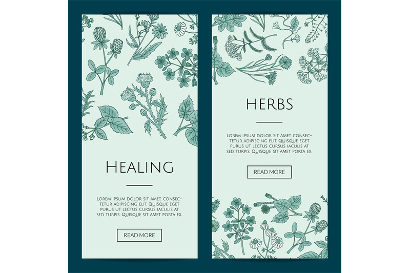 vector-hand-drawn-medical-herbs-web-banner-templates-illustration