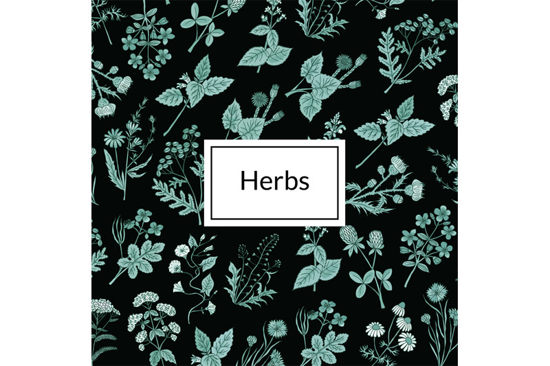 vector-hand-drawn-medical-herbs-background-illustration