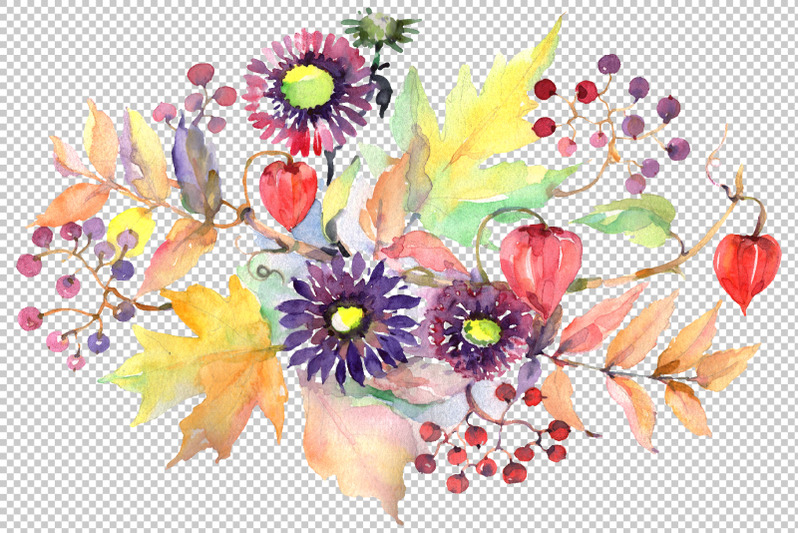 nbsp-autumn-bouquet-with-asters-and-physalis-watercolor-png