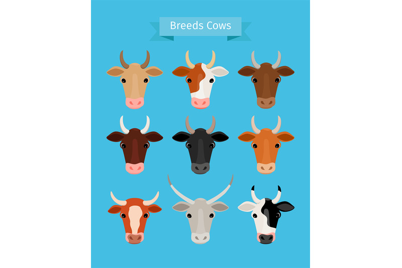 cow-heads-vector-set