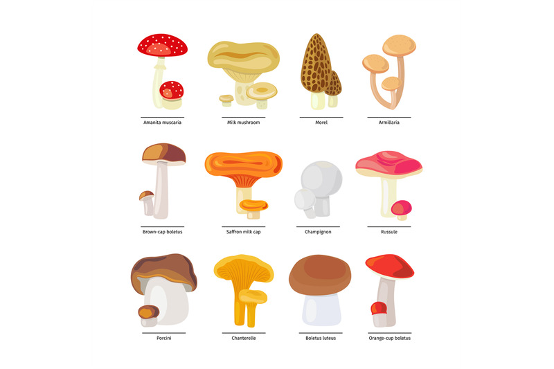 edible-mushrooms-and-fungus-icons-set