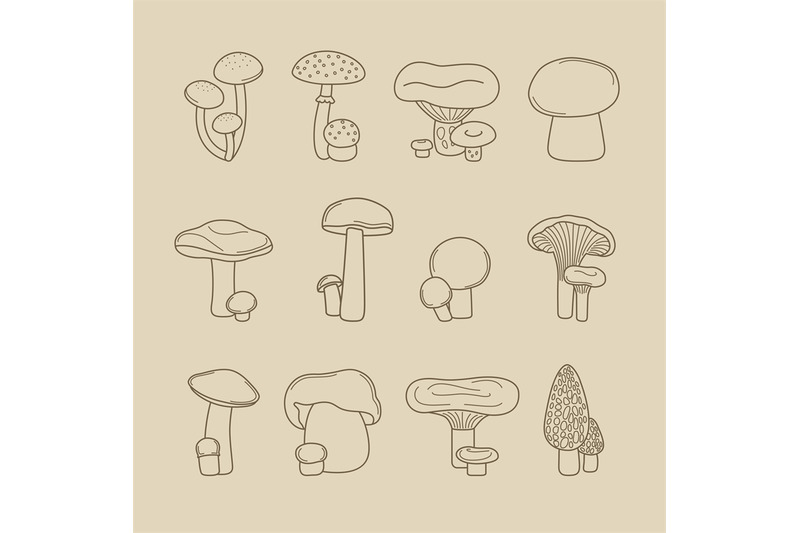 vector-hand-drawing-mushrooms