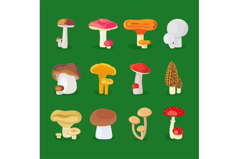 edible-mushrooms-and-toadstools-icons
