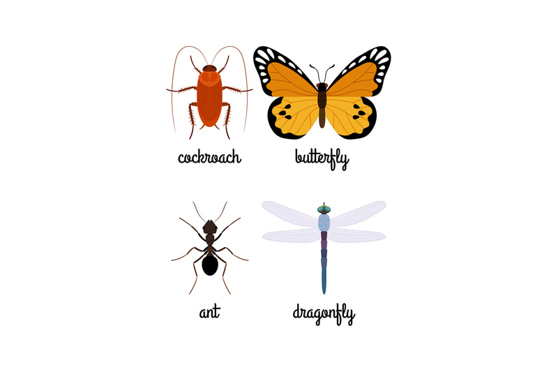 colorful-insects-vector-set