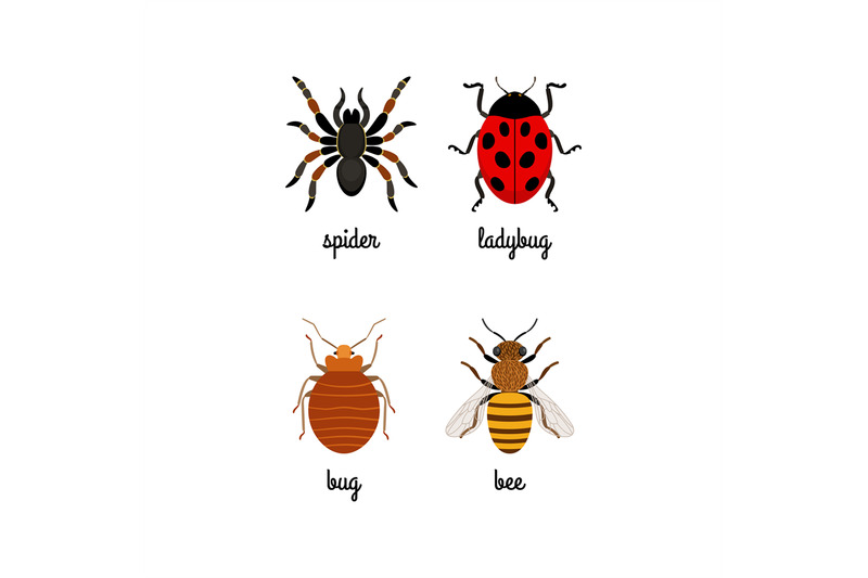 insects-colorful-flat-icons-set