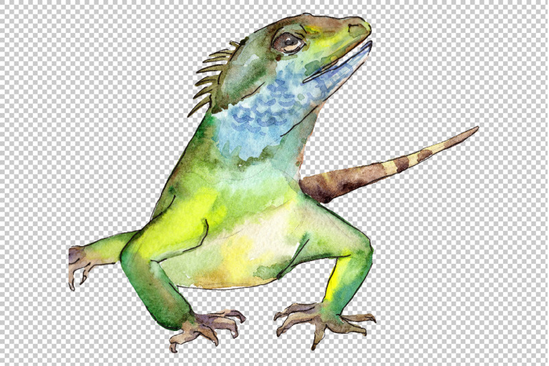 4-iguanas-watercolor-png