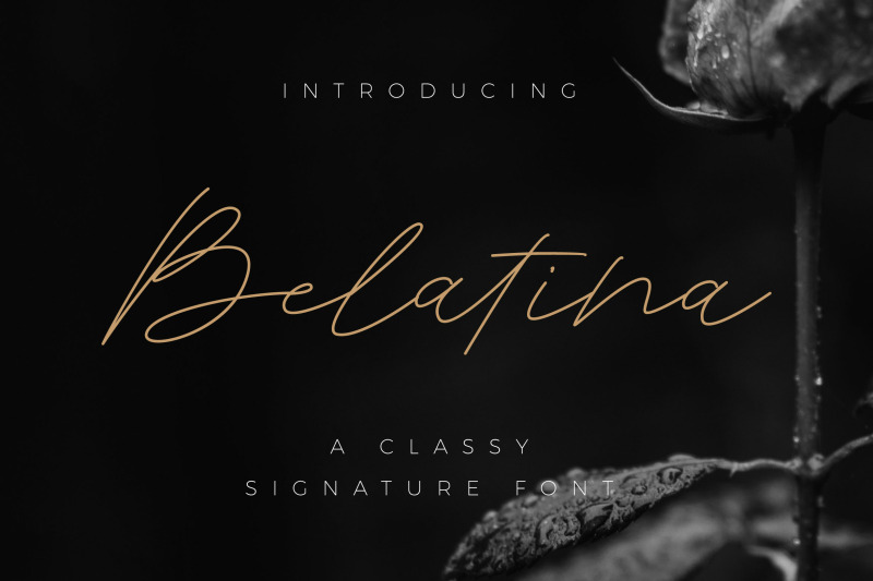 belatina-a-classic-signature-font