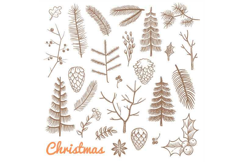 hand-drawn-fir-and-pine-branches-fir-cones-christmas-and-winter-holi