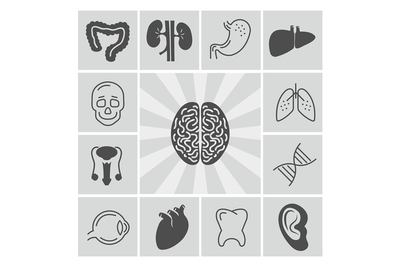 human-organs-thin-line-and-silhouette-icons