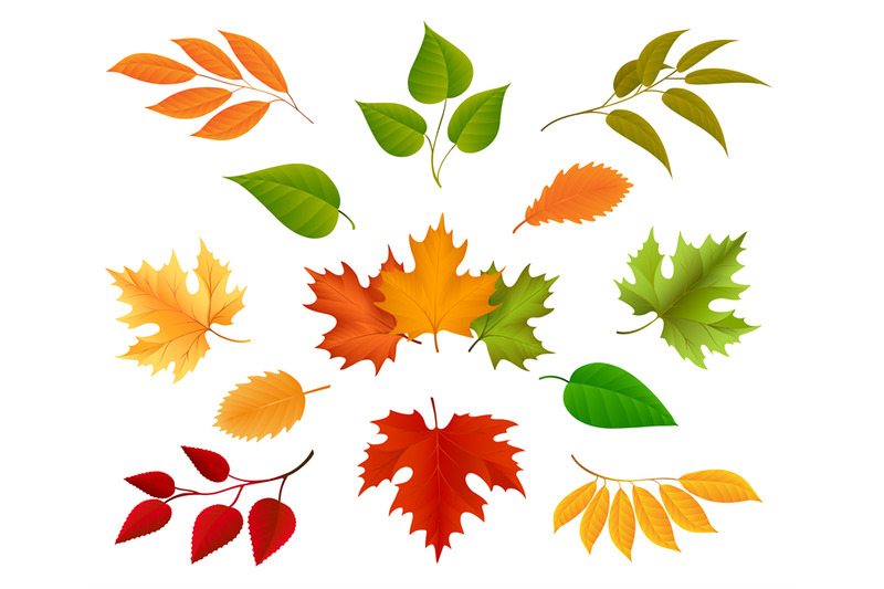 autumn-leaves-icons