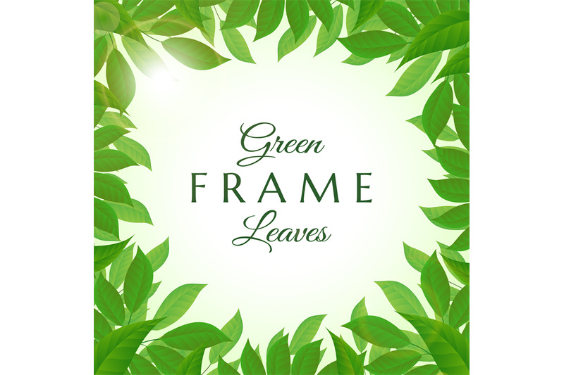 fresh-green-leaves-frame