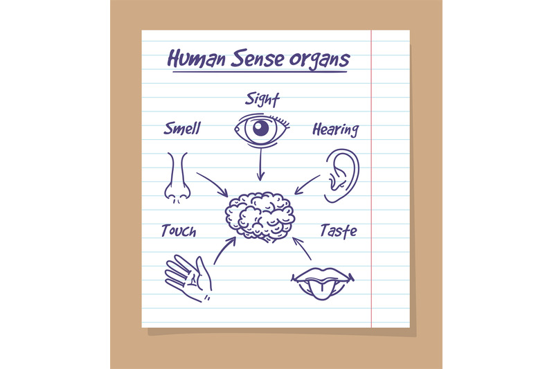 five-senses-sketch-on-notebook-page