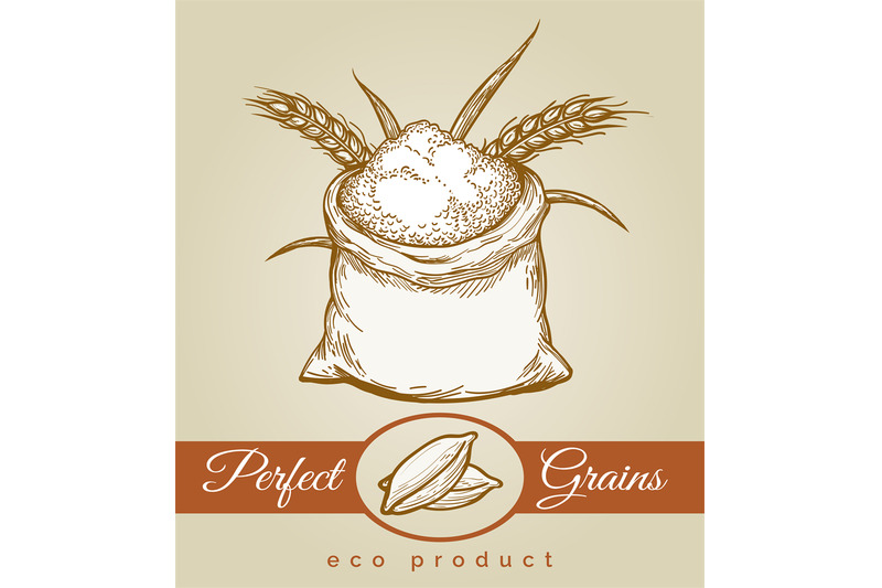 eco-grains-product-sketch-illustration