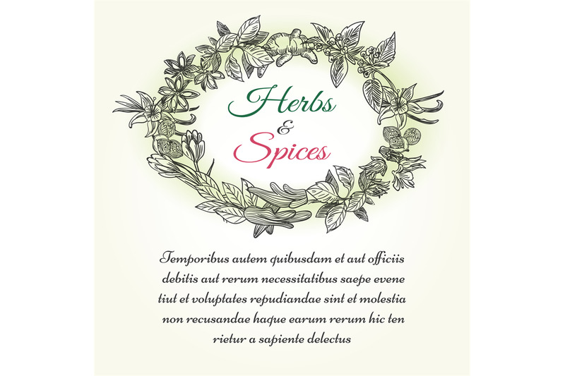 natural-herbal-seasonings-frame-with-text