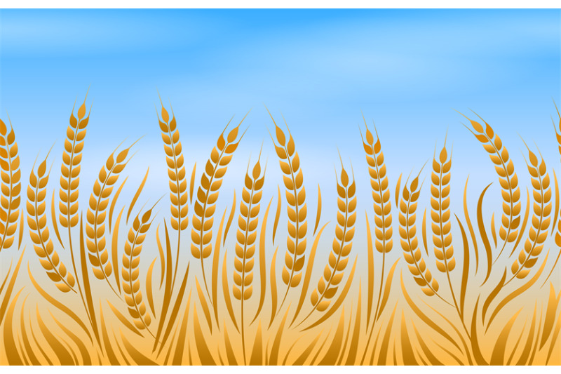 field-of-wheat-landscape-background