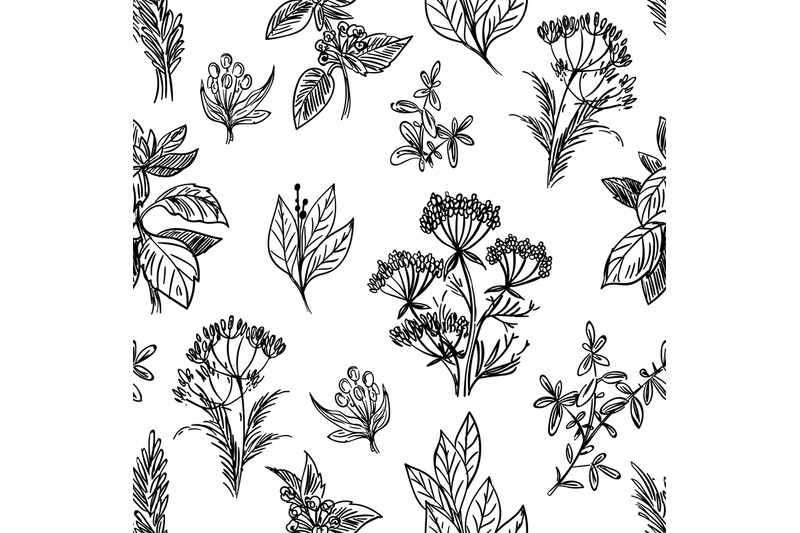 sketch-herbs-and-flowers-seamless-pattern