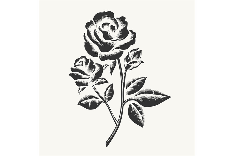 black-hand-drawn-roses-engraving