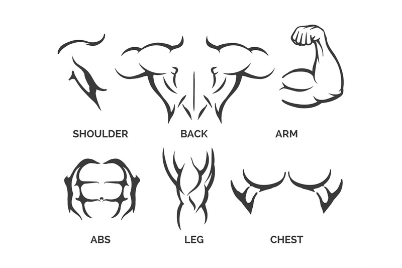 bodybuilder-body-parts-icons