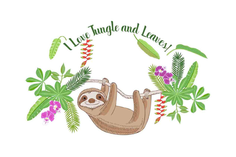sloths-in-jungle-digital-clipart