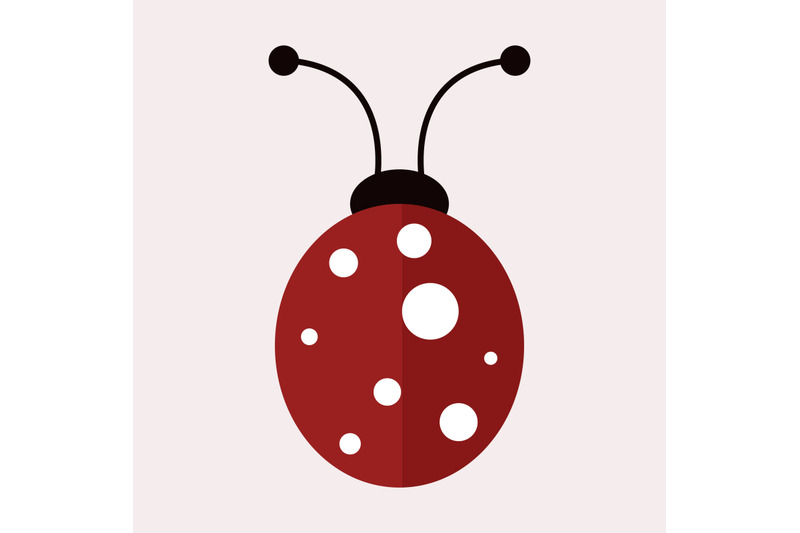 ladybug-icon