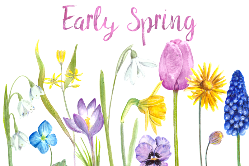 watercolor-early-spring-flowers-clip-art-set