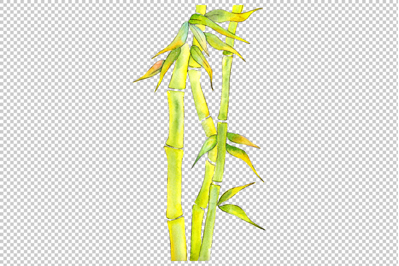 bamboo-watercolor-product-png