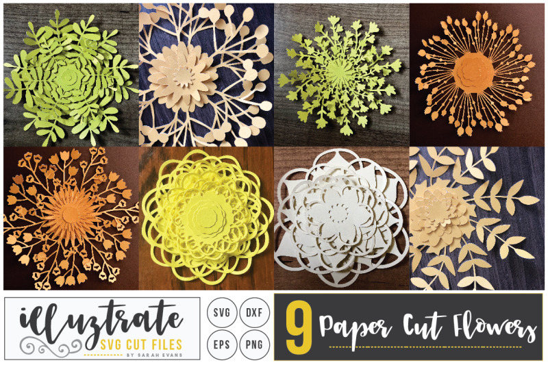 Download Paper Cutting Flower SVG Cut File, Layered Flower SVG, DIY 3D flower By illuztrate ...