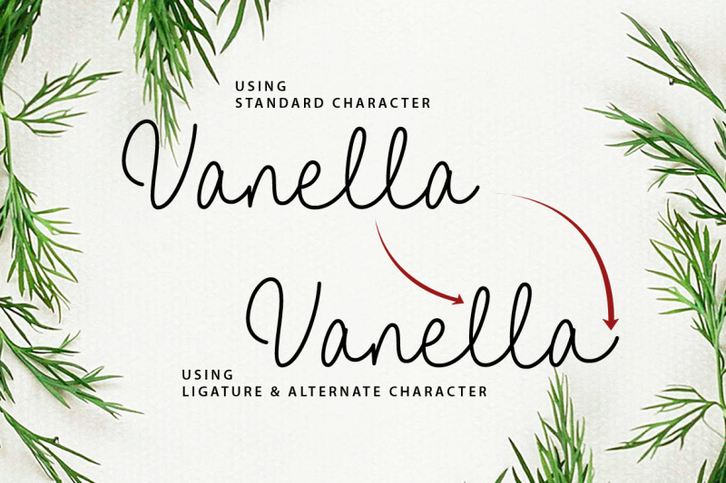 vanella-feminine-script-font
