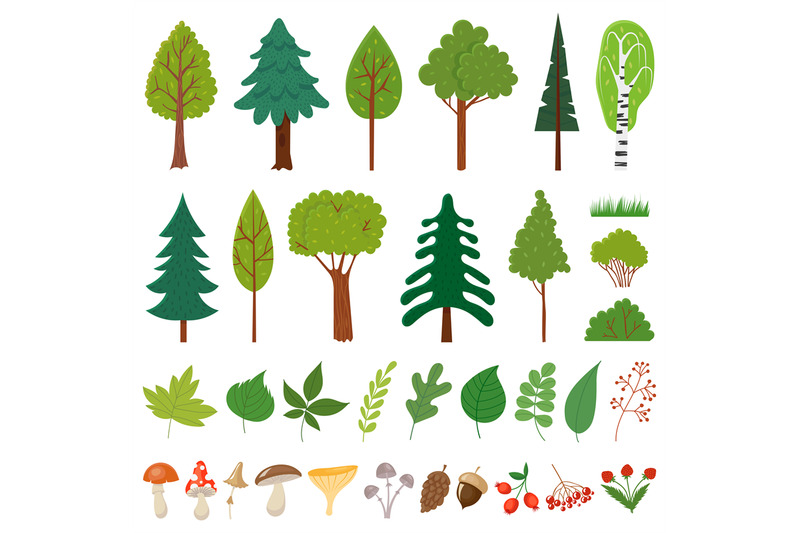 forest-trees-woodland-tree-wild-berries-plants-and-mushroom-forests