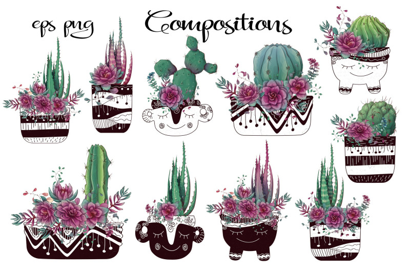 cacti-amp-succulents-in-purple