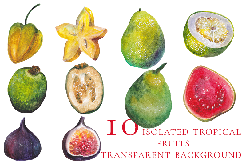 10-isolated-watercolor-tropical-fruits